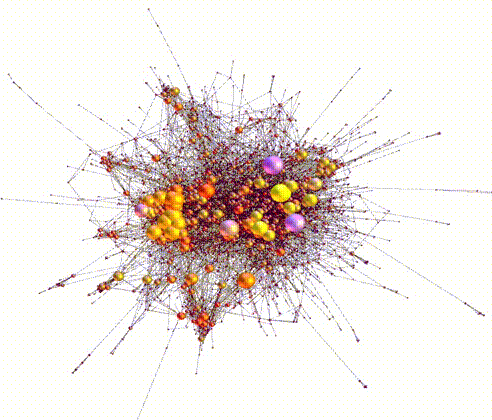 Protein Interaction Network