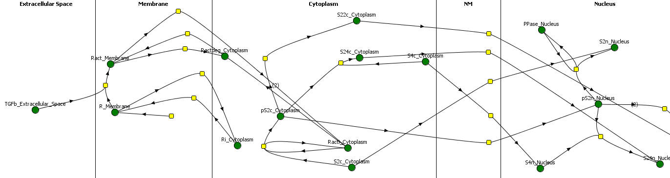 TGF beta signaling network schematic