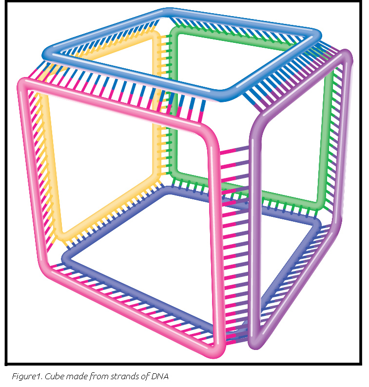 DNA cube
